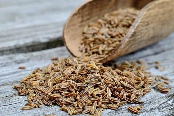 زیره سبز درجه یک مناسب آسیاب خانگی و مصرف روزانه